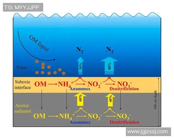 深圳篮球队包夹战术分析与得失评估的深度探讨